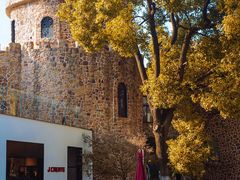 -J Create城市露营咖啡·简餐·宠物(上海动物园店)