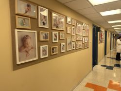 -杭州贝瑞斯美华妇儿医院·早孕·产检·儿科