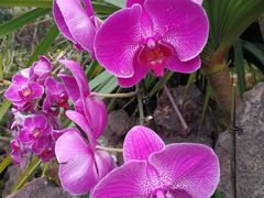 -南通洲际绿博园