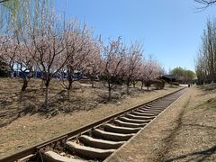 -永定河休闲森林公园