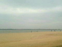 -瑶湖郊野森林公园