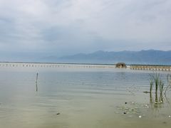 -哈素海
