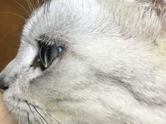 -白箱照相馆·外拍
