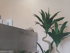 -本来不该有·鲜果咖啡(大梅沙店)