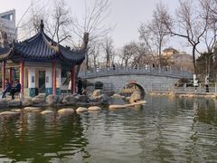 -莲湖公园