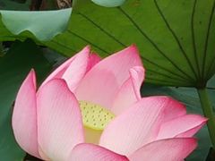 -野鸭湖国家湿地公园