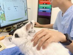 -立德异宠动物医院.兔鸟爬.内窥镜(天河店)