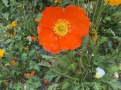 -名花谷生态庄园