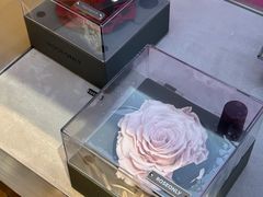 -ROSEONLY诺誓(青岛万象城店)