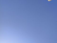 -盐城丹顶鹤湿地生态旅游区