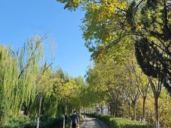 -南翠屏公园