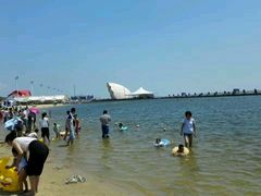 -碧海金沙