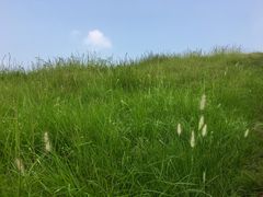 -恋山坝上草原