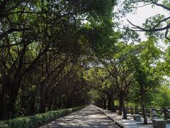 -大湾区中央湿地公园