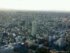 -东京都厅舍
