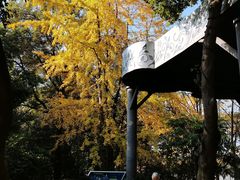 -成都市活水公园