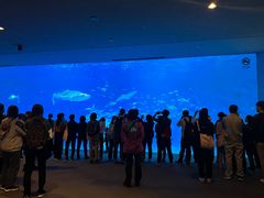 -鹿儿岛水族馆