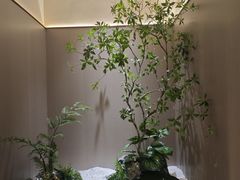 -帝皇海海鲜豆捞(桐泾商务广场店)