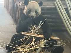 -云南野生动物园