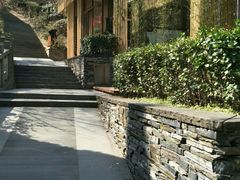 -上海佘山国家森林公园西佘山园