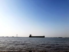 -上海滨江森林公园