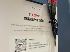 -TESLA 特斯拉(上海太古汇体验店)