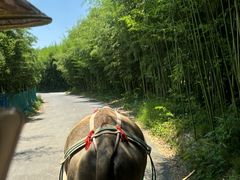 -杭州双溪漂流景区