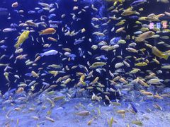 -成都浩海立方海洋公园