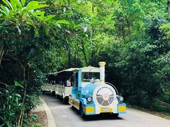 -崇明东平国家森林公园烧烤房车露营地