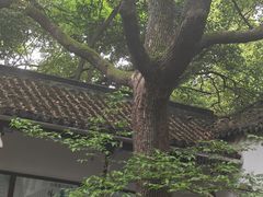 -西园戒幢律寺