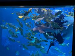 -太平洋海底世界