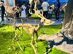 -安徽省地质博物馆