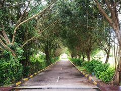 -三亚珠江南田温泉度假区