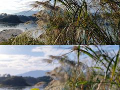 -小桂湾