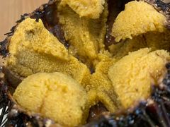 -海胆小馆(东北水饺·春柳店)