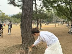 -奈良公园