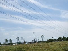 -桤木河湿地公园