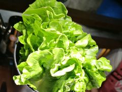 -九田家黑牛烤肉料理(高坪王府井店)