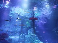 -沈阳海洋探索中心