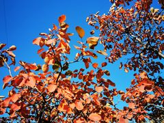 -北京西山国家森林公园