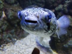-郑州海洋馆