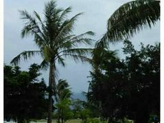 -太鲁阁公园