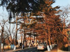 -八大关景区
