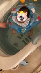 -巍阁高端月子会所