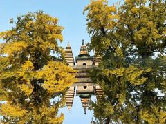 -北京石刻艺术博物馆