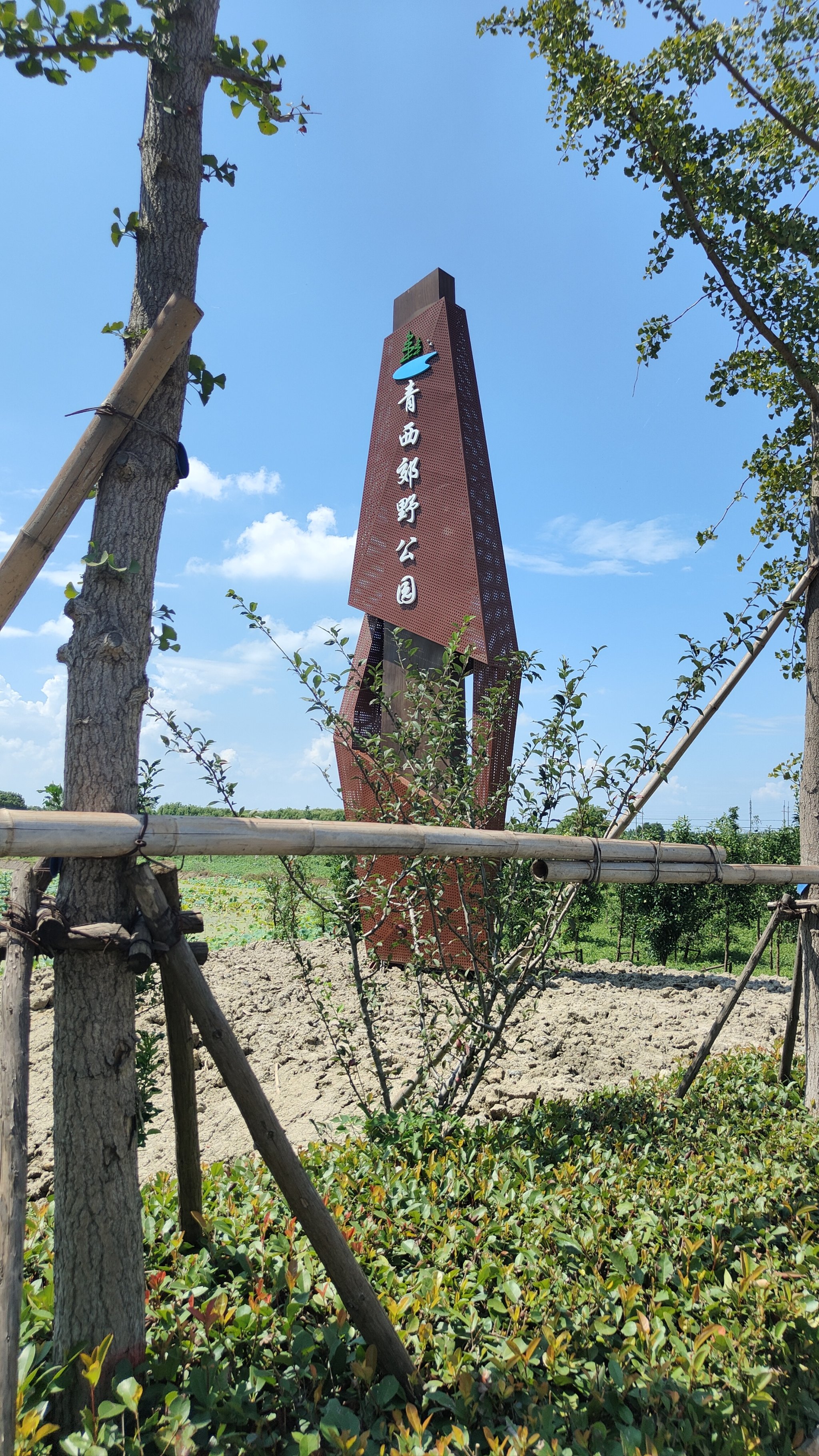 青西郊野公园多大图片