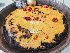 -五里关火锅(牛市口店)