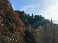-秦岭风景区