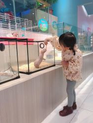 -Moni星球萌宠·小马宝莉·灵蛇·高端高阶全萌宠互动体验俱乐部(红豆国际广场店)