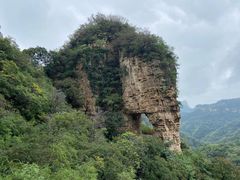 -老象峰